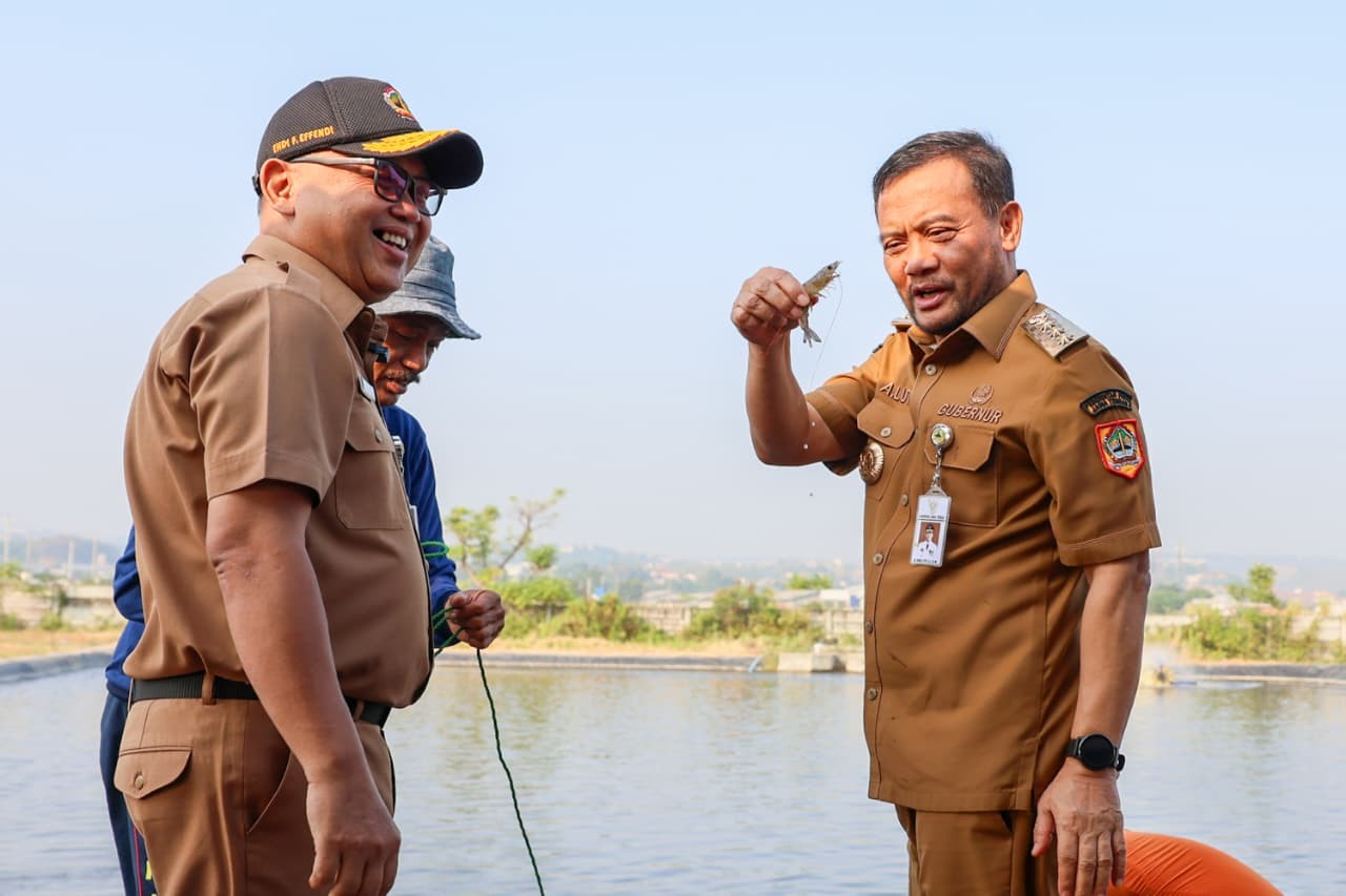 Panen Udang Vaname Bersama Gubernur  di Tambak BPPB Kelas A – DKP Provinsi Jawa Tengah